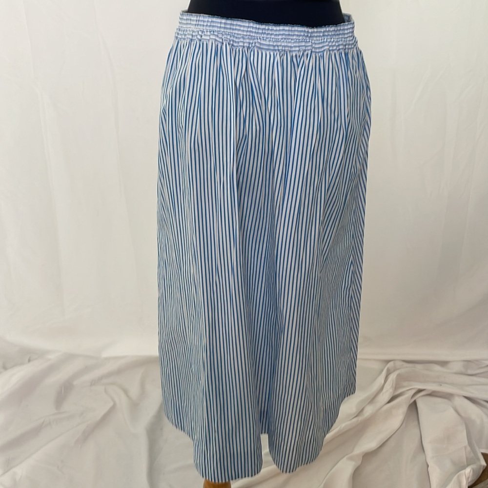 Blue Striped Button-Down Skirt - Picture 4 of 5